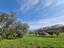 Immagine 27