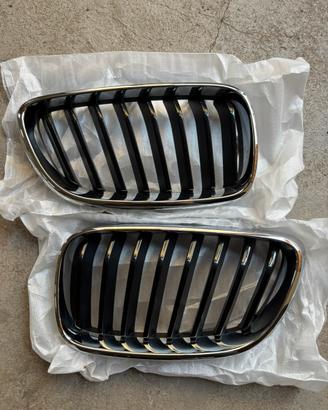 Griglie anteriori BMW
