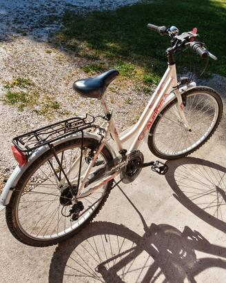Bici MTB