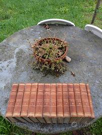 antichi libri -civiltà cattolica 9° serie completa