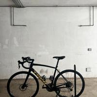 trek domane al 2