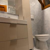 Mobile bagno con lavabo in ceramica+specchio+colon