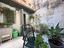 Immagine 19
