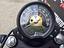 Immagine 22