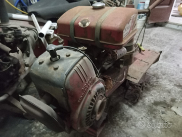 Sarchiatrice agricola (Cicala)