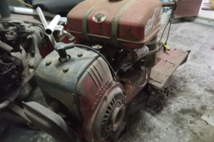 Sarchiatrice agricola (Cicala)