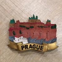 Calamita frigo Praga