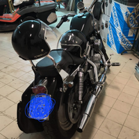 Harley Davidson xlc 883 custom