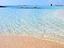 Immagine 8