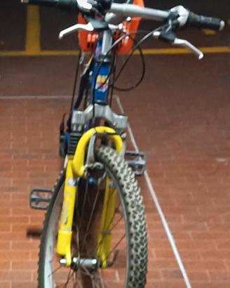 MTB 26 Bottecchia 