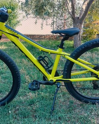 Bicicletta mtb Scott 24