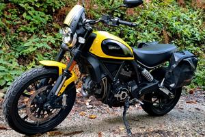 Ducati Scrambler 800 Icon- 2019