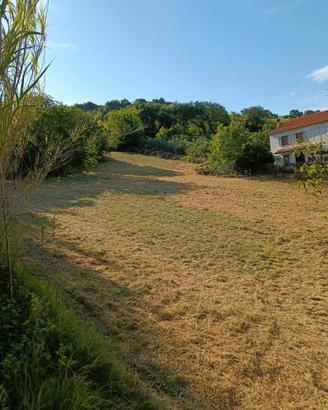 Terreno agricolo -- villamagna (ch), val di foro