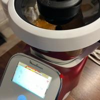 Moulinex companion touch xl