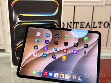 iPad Pro 11” M4 256GB
