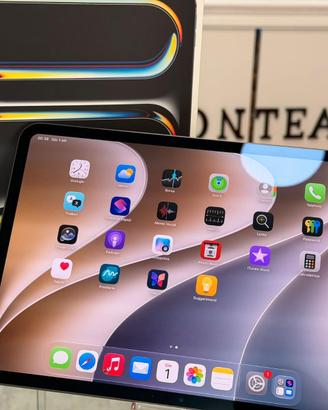 iPad Pro 11” M4 256GB