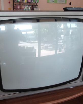 TV a colori Fredomatic Computer 99, completa di te