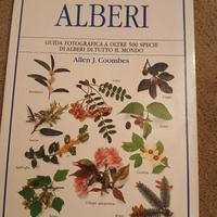 guida fotografica agli alberi