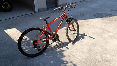 Bicicletta bambino