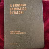 Libro “ il Frignano, un mosaico di valori”