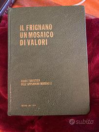 Libro “ il Frignano, un mosaico di valori”