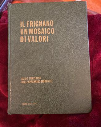 Libro “ il Frignano, un mosaico di valori”