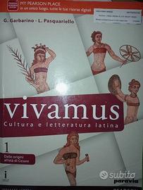 Vivamus 1