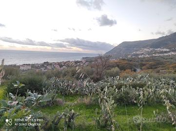 Terreno agricolo panoramico