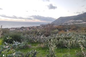 Terreno agricolo panoramico