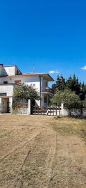 Masseria con terreno a Caianello 