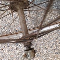 ruote campagnolo open c anni 50