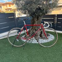 Colnago Arabesque 53x52
