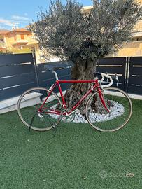 Colnago Arabesque 53x52
