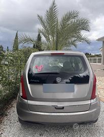   Lancia Musa   