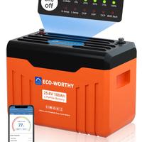 Batteria al litio bluetooth life Po4 da 24V-100Ah