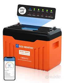 Batteria al litio bluetooth life Po4 da 24V-100Ah