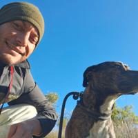 Extra cameriere banchista bar ebgastronomia