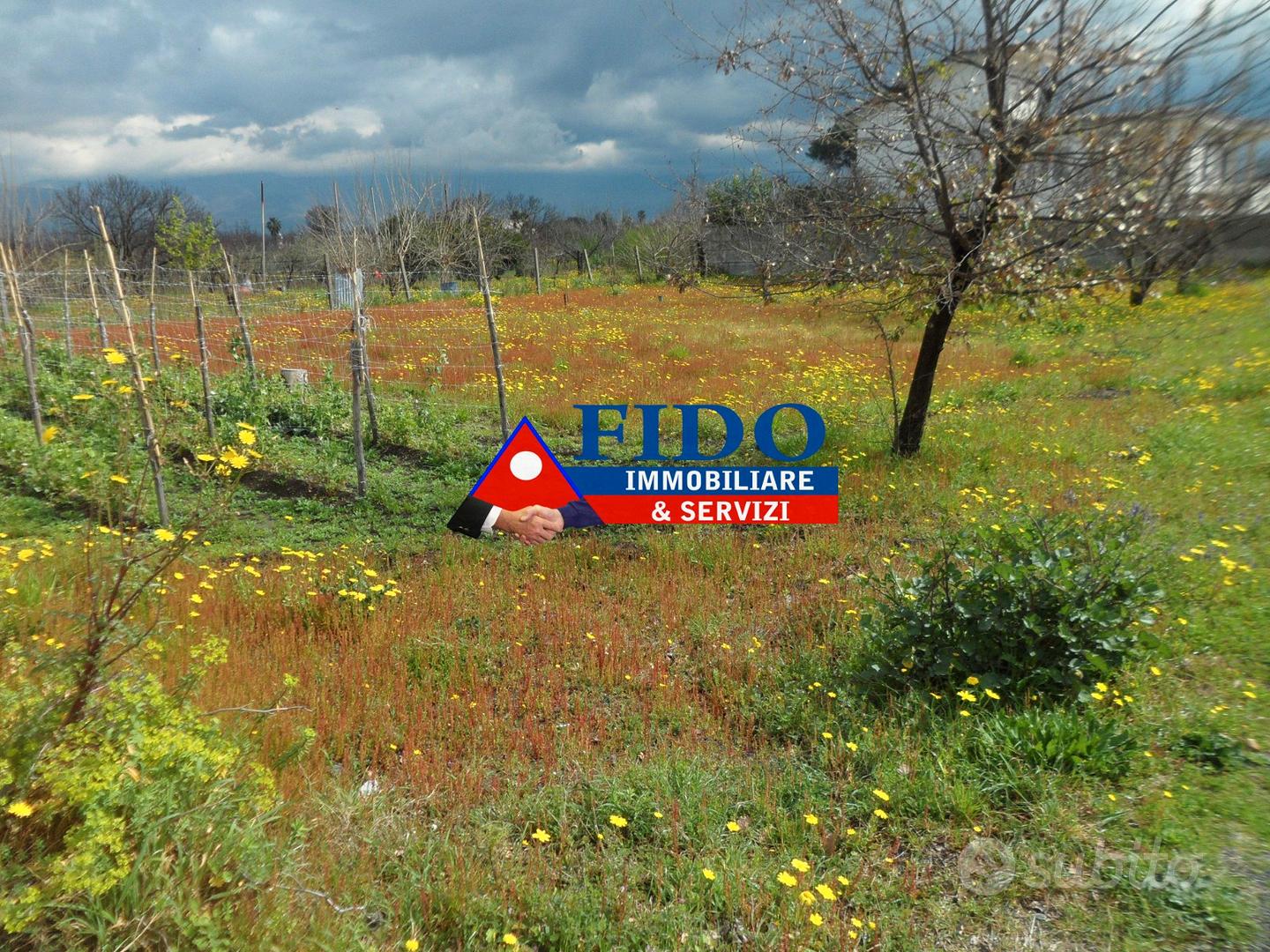 Terreno agricolo di 700mq - Vista 3