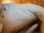 Immagine 6