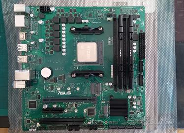 Asus Pro b550m-c Business MoBo+16GB+Ryzen 5-3600