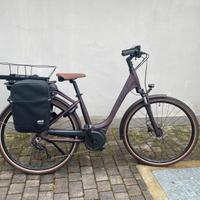 Scott sub active eride  km 148