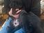 Immagine 4