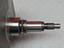 Immagine 8