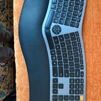 ProtoArc Tastiera ergonomica wireless  layout Us
