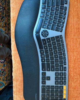 ProtoArc Tastiera ergonomica wireless  layout Us