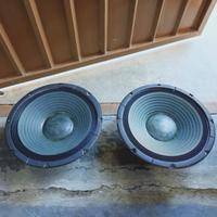 Woofer Electronic Melody CIARE mod. AM250.32