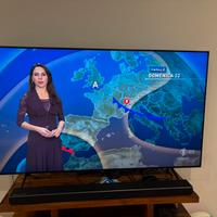 Tv Samsung Qled 65 pollici