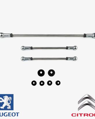 Kit 3 leveraggi Saxo/106
