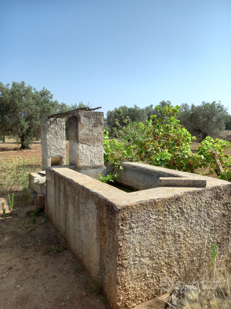Terreno Agricolo Via Grandizia (Torre S. Susanna) - Vista 4