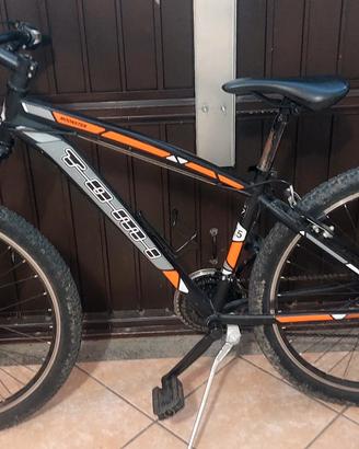 biciclette 